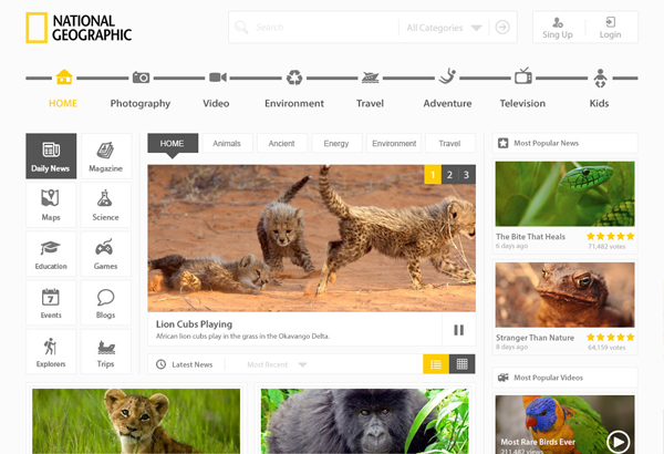 Новостной макет сайта National Geographic